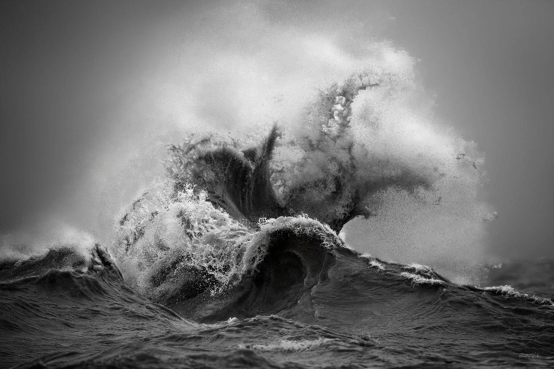 The Kraken_B&W – Sandford Photography