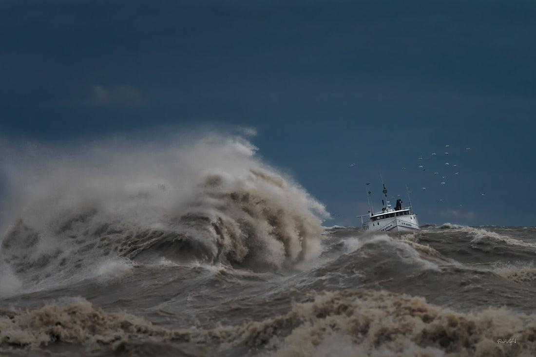 Dave Sandford International award winning nature photographer ...